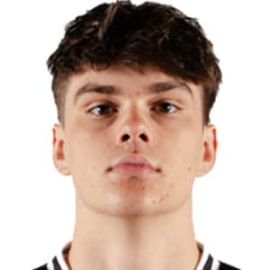 Radoslav TELICAK
