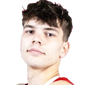 Erwan MERLIN
