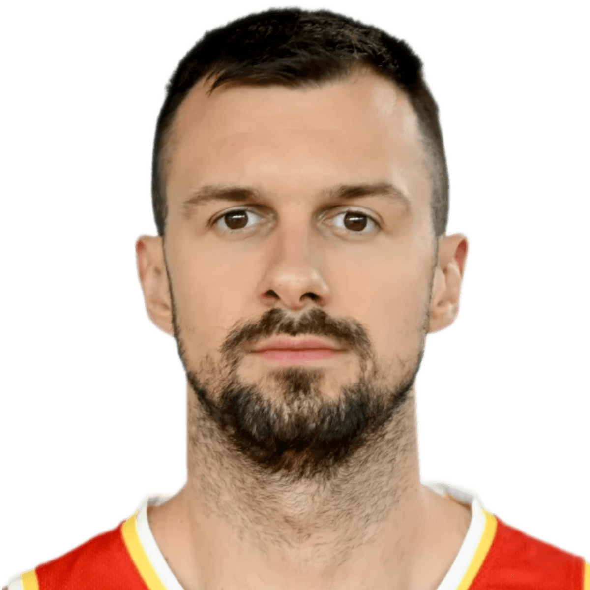 Zoran NIKOLIC