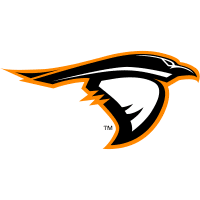Anderson (IN) Ravens