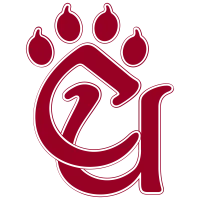 Concord Mountain Lions