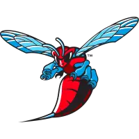 Delaware State Hornets