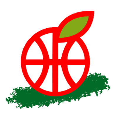 Hapoel Gilboa Galil