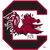 South Carolina Gamecocks