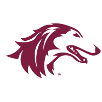 Southern Illinois Salukis Southern Illinois Salukis