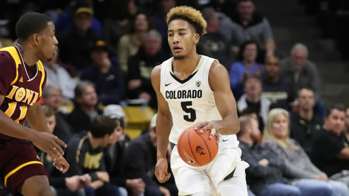 Nouvelle basket discount